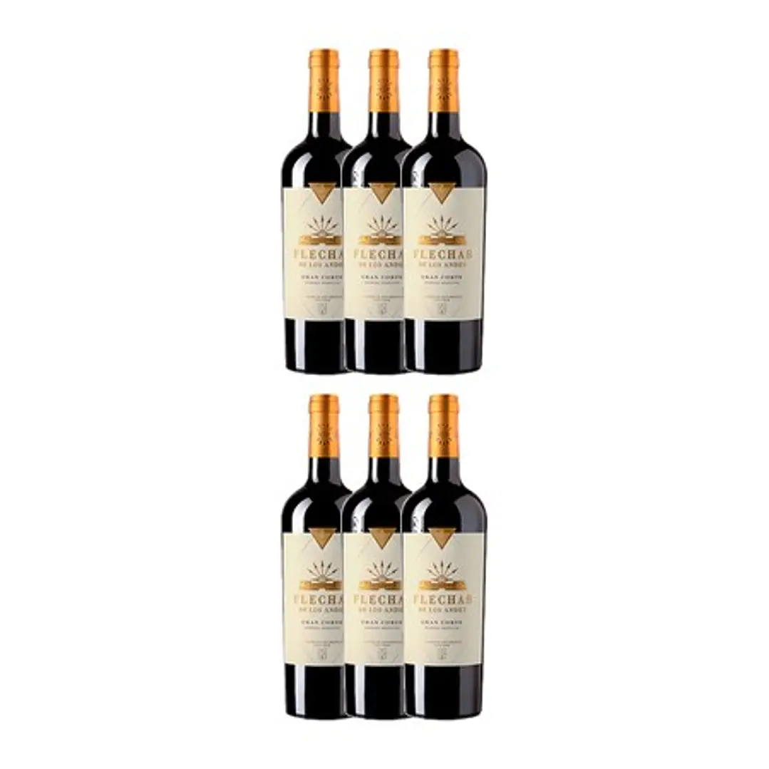 Flechas de Los Andes Gran Corte Rouge Mendoza 2019 - 75cl 4