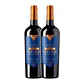 Flechas de Los Andes Gran Malbec Rothschild Red 2021 - Vorschaubild 2