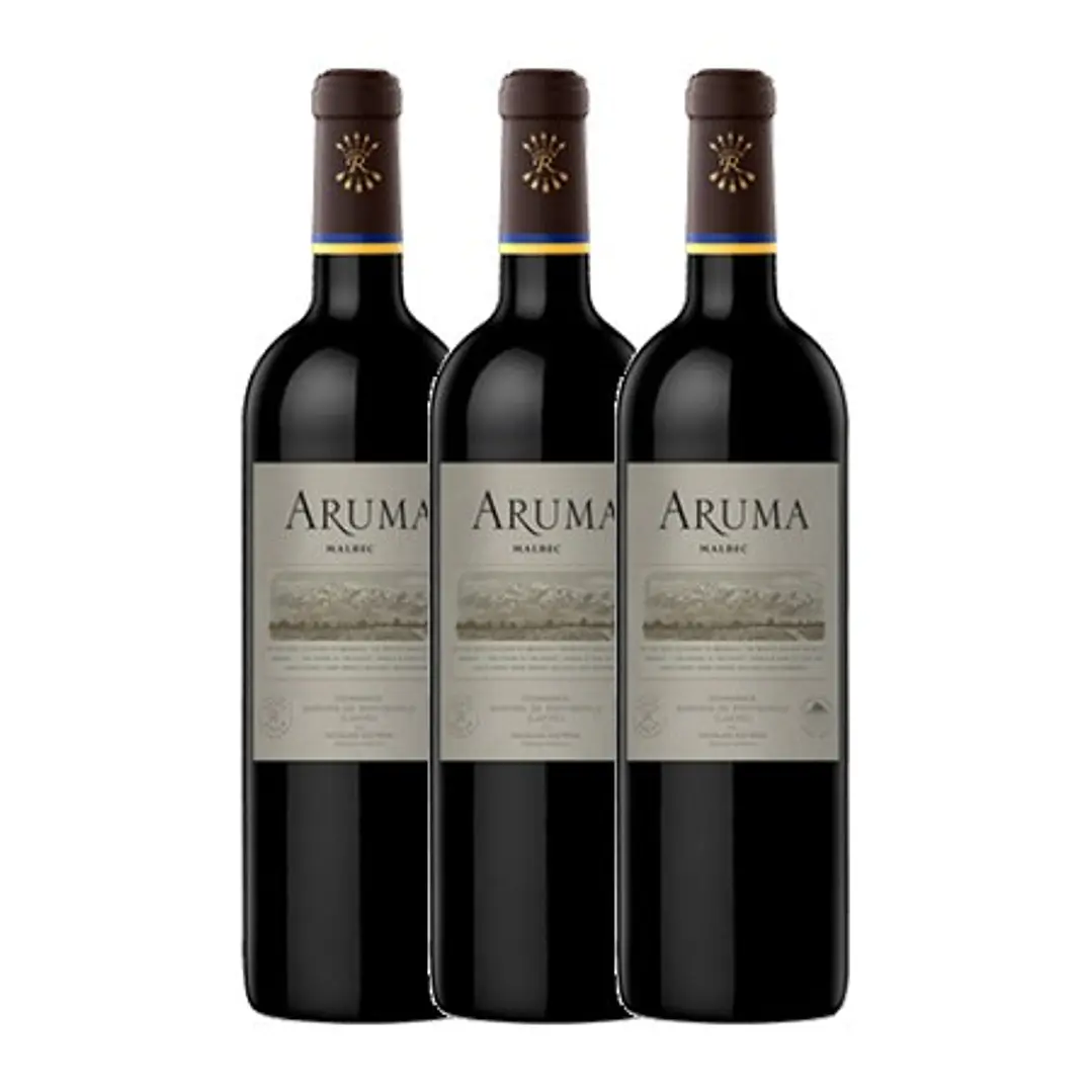 ARUMA de Caro (Catena and Rothschild) Malbec Mendonza Argentina 2022 3