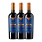 Flechas de Los Andes Gran Malbec Rothschild Red 2021 - Vorschaubild 3