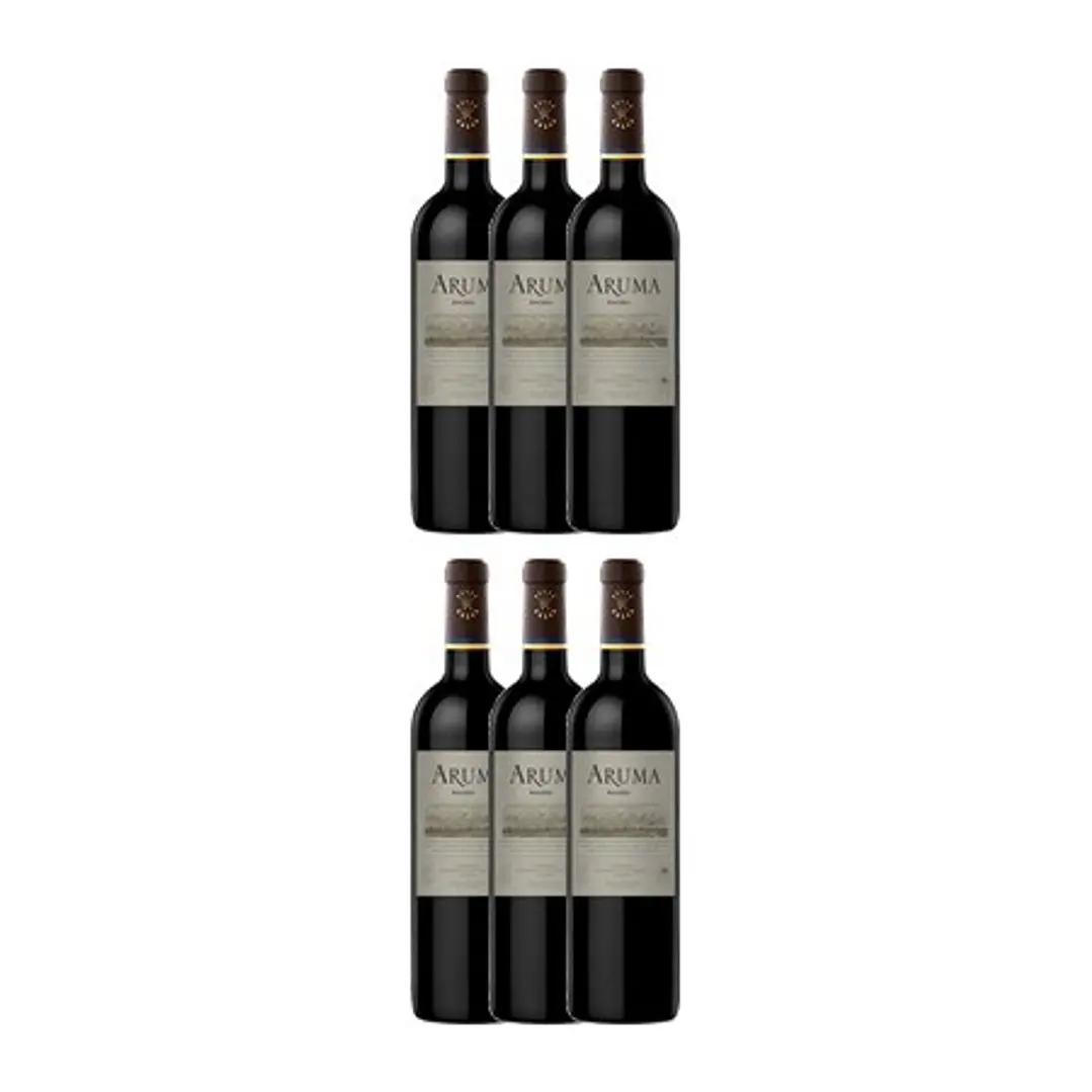 ARUMA de Caro (Catena and Rothschild) Malbec Mendonza Argentina 2022 4