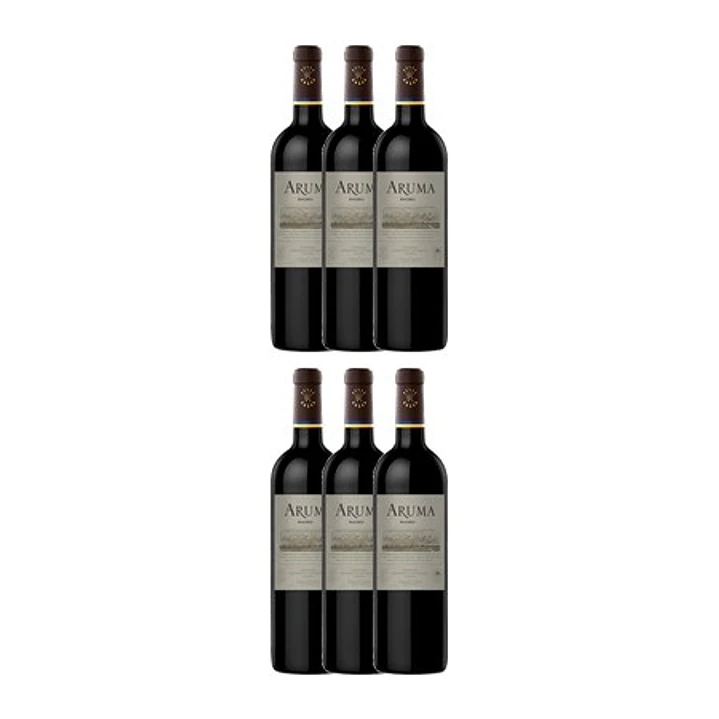 ARUMA de Caro (Catena and Rothschild) Malbec Mendonza Argentina 2022 4