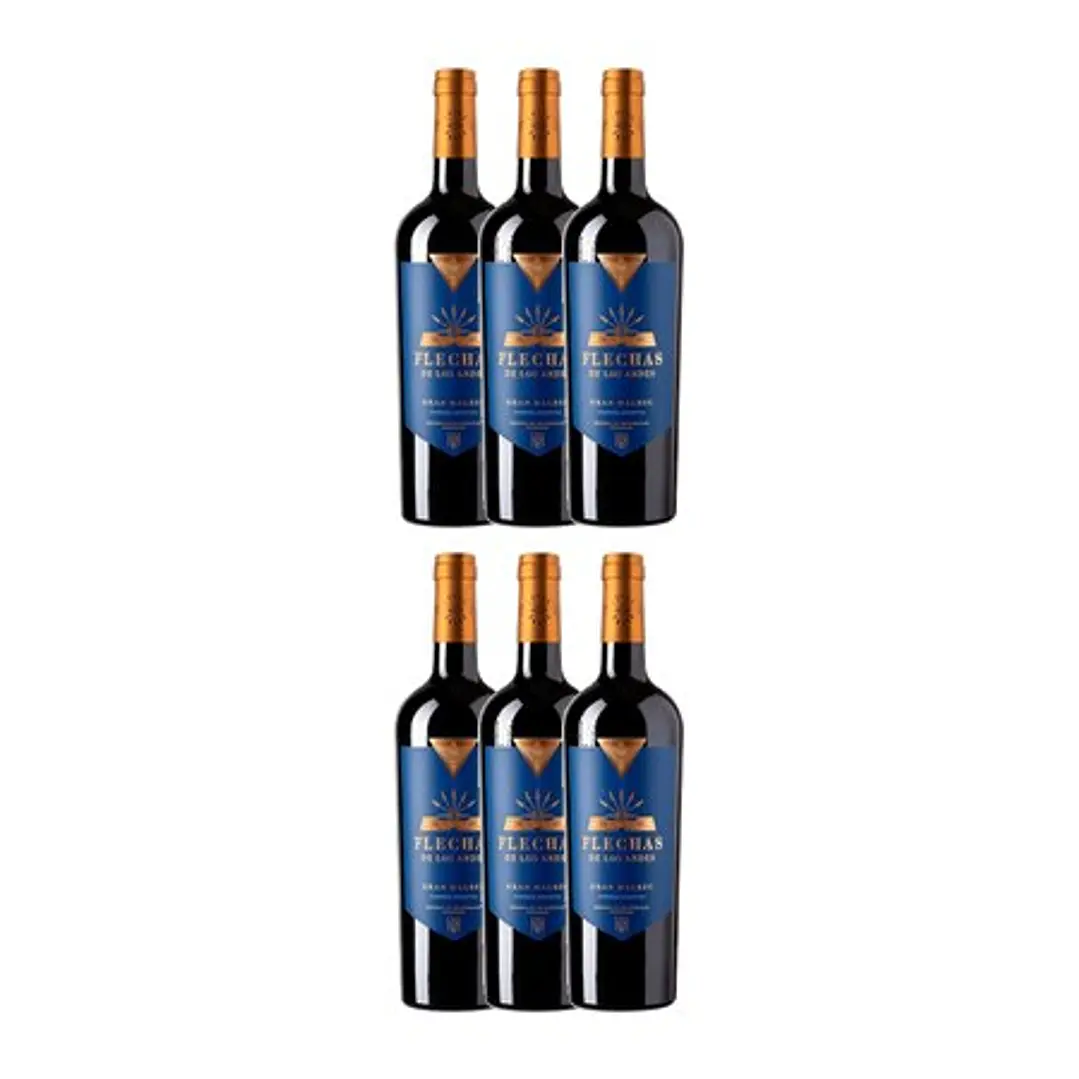 Flechas de Los Andes Gran Malbec Rothschild Red 2021 4