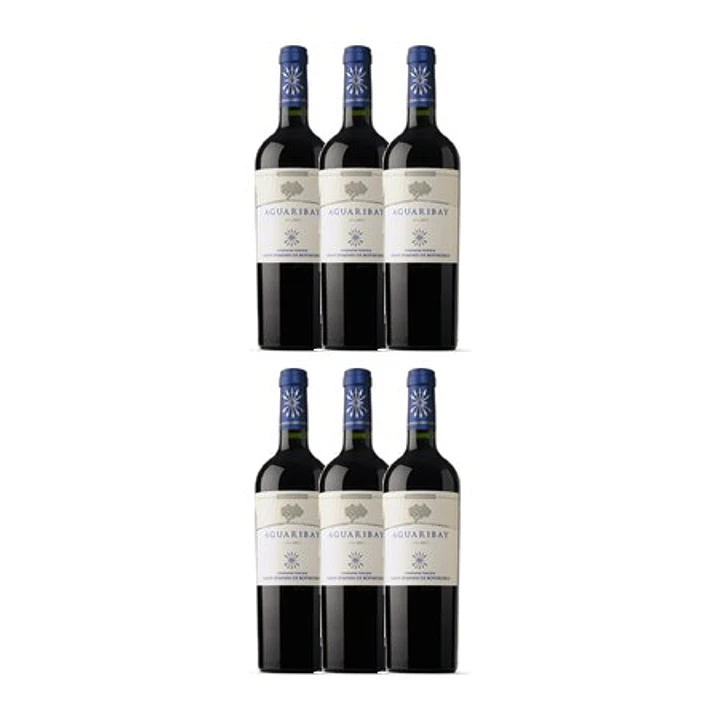 Flechas de Los Andes Aguaribay Red Mendoza 2023 4