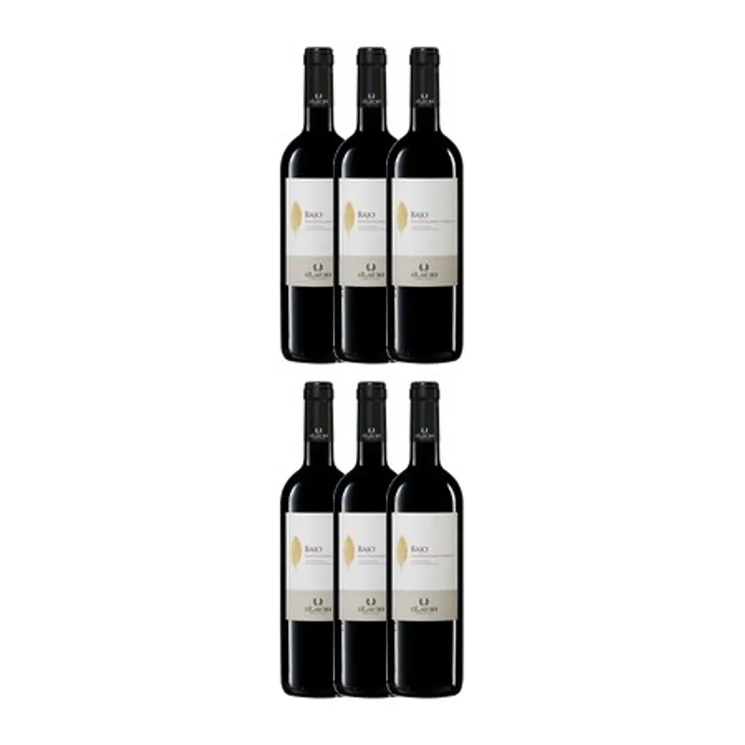 Ilauri 'Bajo' Montepulciano d'Abruzzo 2019 (VEGAN) 4