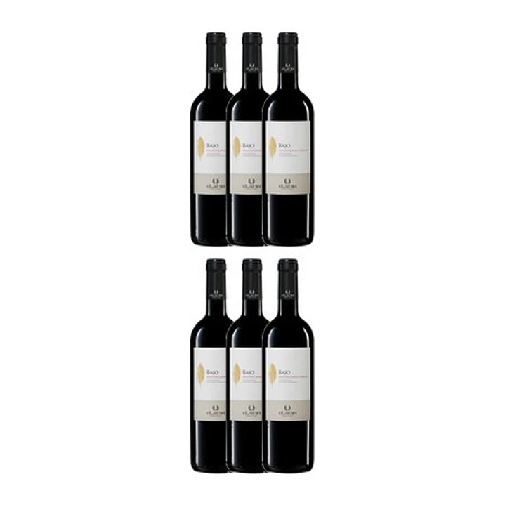 Ilauri 'Bajo' Montepulciano d'Abruzzo 2019 (VEGAN) 4