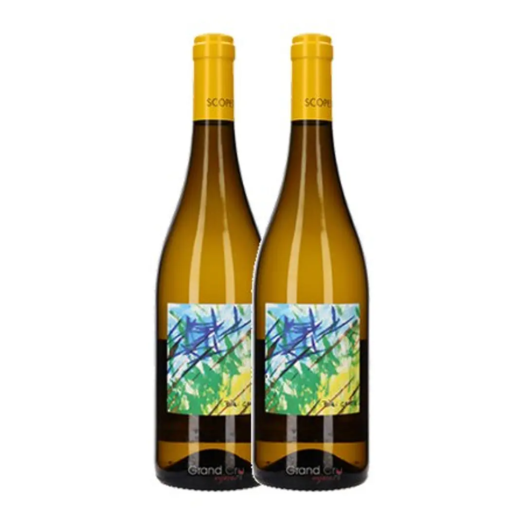 BIBI GRAETZ SCOPETO Tuscany White 2021 2