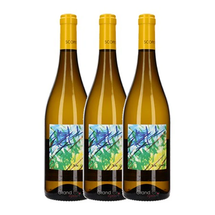 BIBI GRAETZ SCOPETO Tuscany White 2021 3