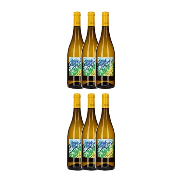 BIBI GRAETZ SCOPETO Tuscany White 2021 4