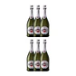 Martini Asti Espumante 75cl - Thumbnail 4