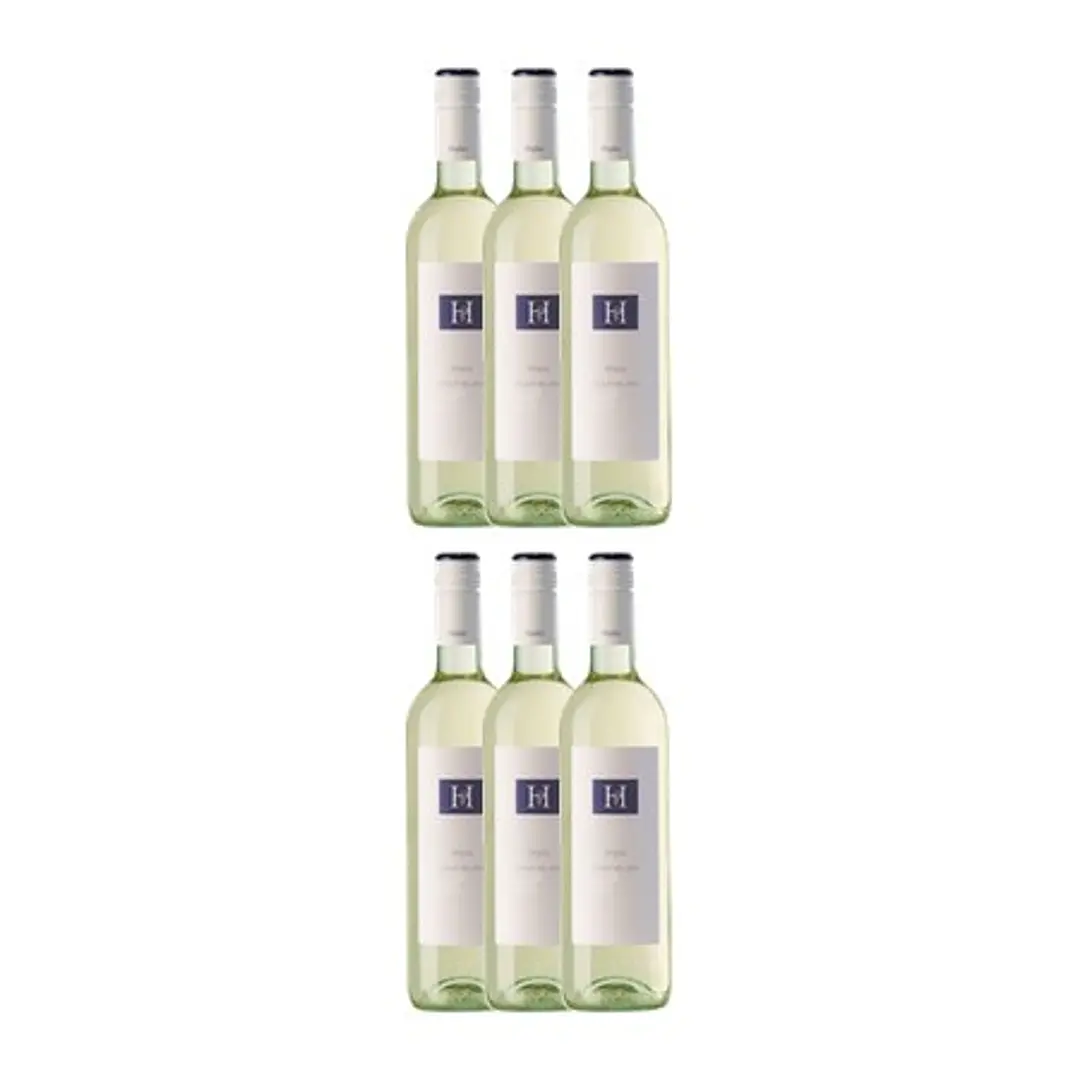HÖPLER PINOT BLANC Burgenland 2016 75cl 4