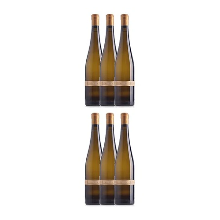 SATURN Riesling 2013 - 75cl 4