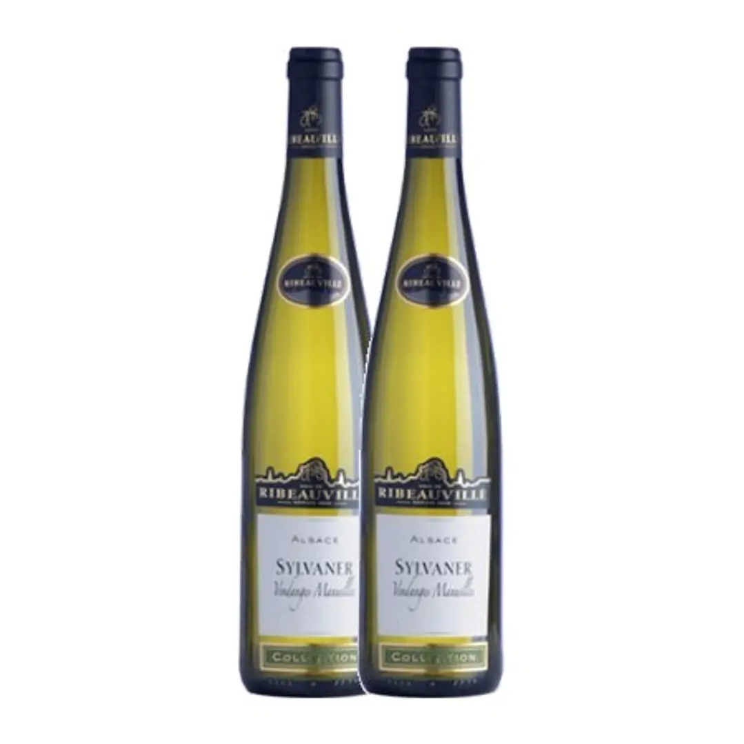 Cave de Ribeauvillé Sylvaner White Alsace 2013  2