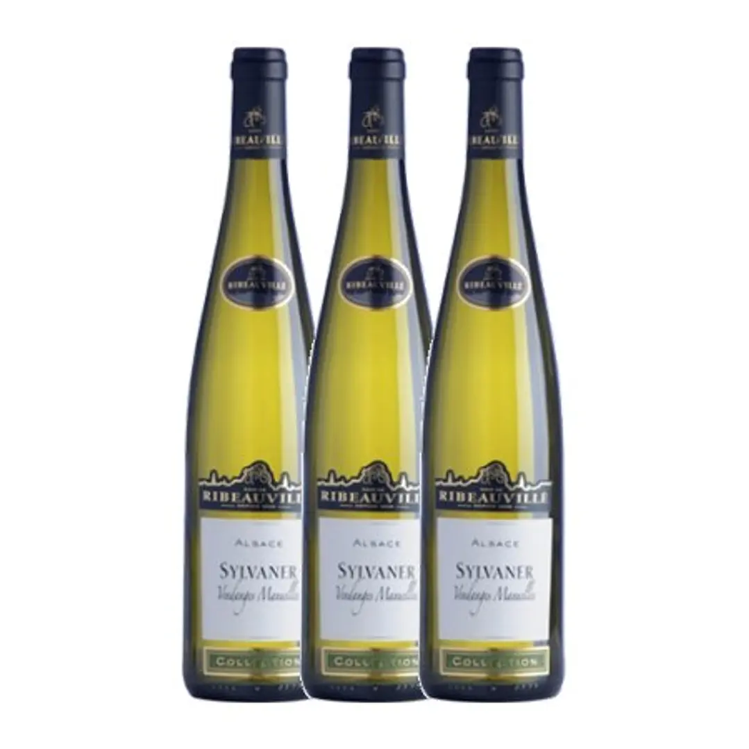 Cave de Ribeauvillé Sylvaner White Alsace 2013  3