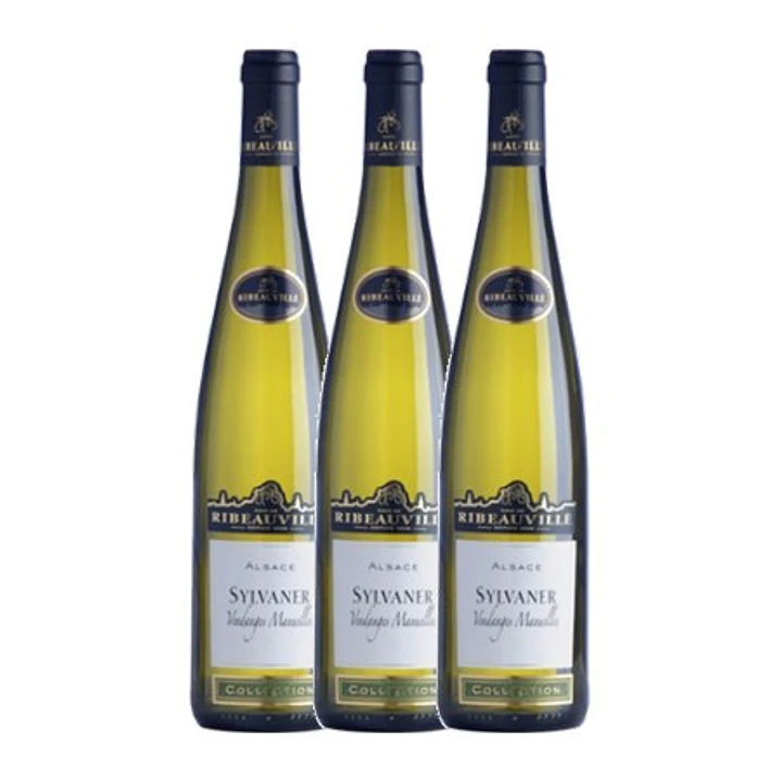 Cave de Ribeauvillé Sylvaner White Alsace 2013  3