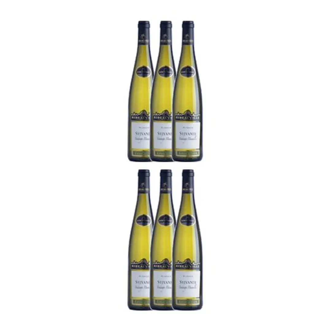 Cave de Ribeauvillé Sylvaner White Alsace 2013  4