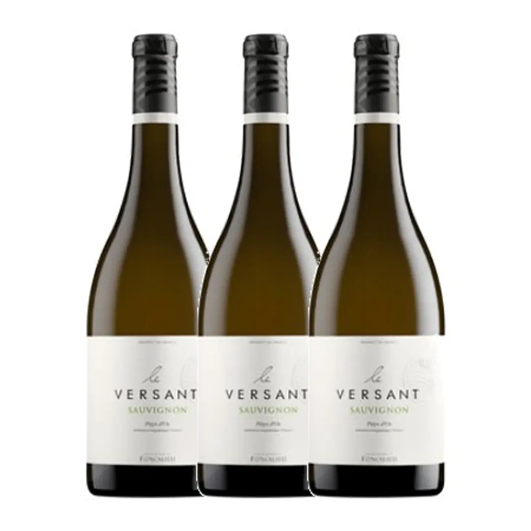 LE VERSANT SAUVIGNON - Les Vignobles Foncalieu 2017 - VEGAN - 75cl 3