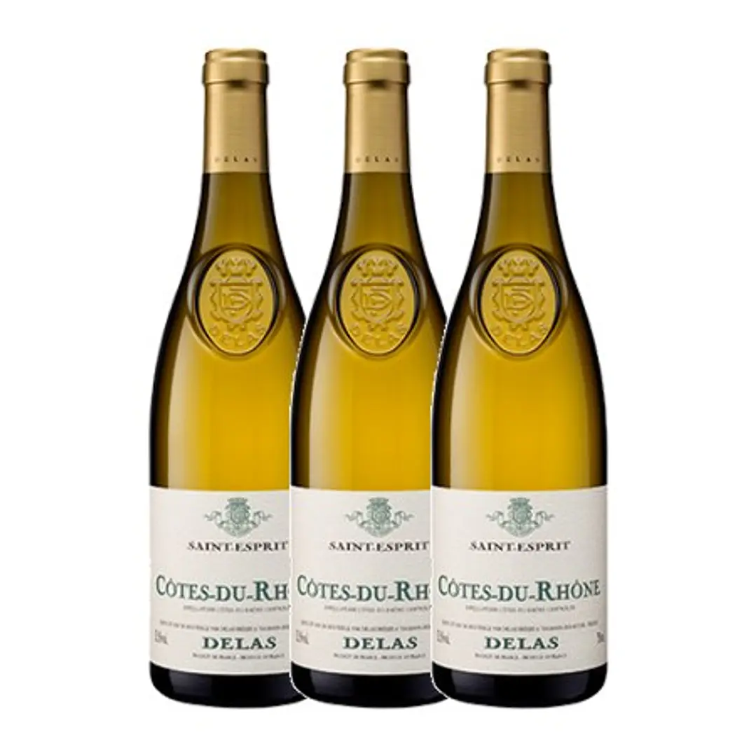 Delas Frères SAINT-ESPRIT White Côtes-du-Rhône 2023 3