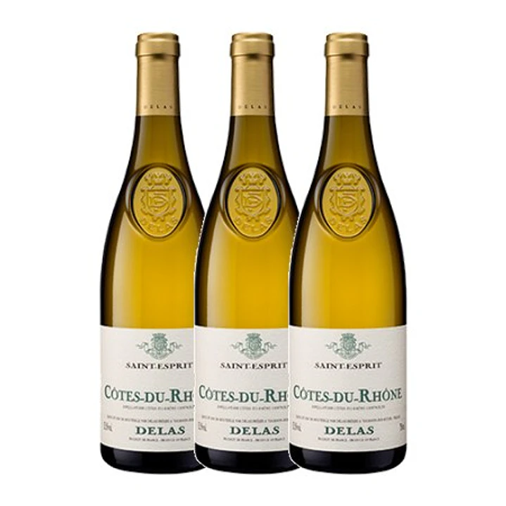 Delas Frères SAINT-ESPRIT White Côtes-du-Rhône 2023 3