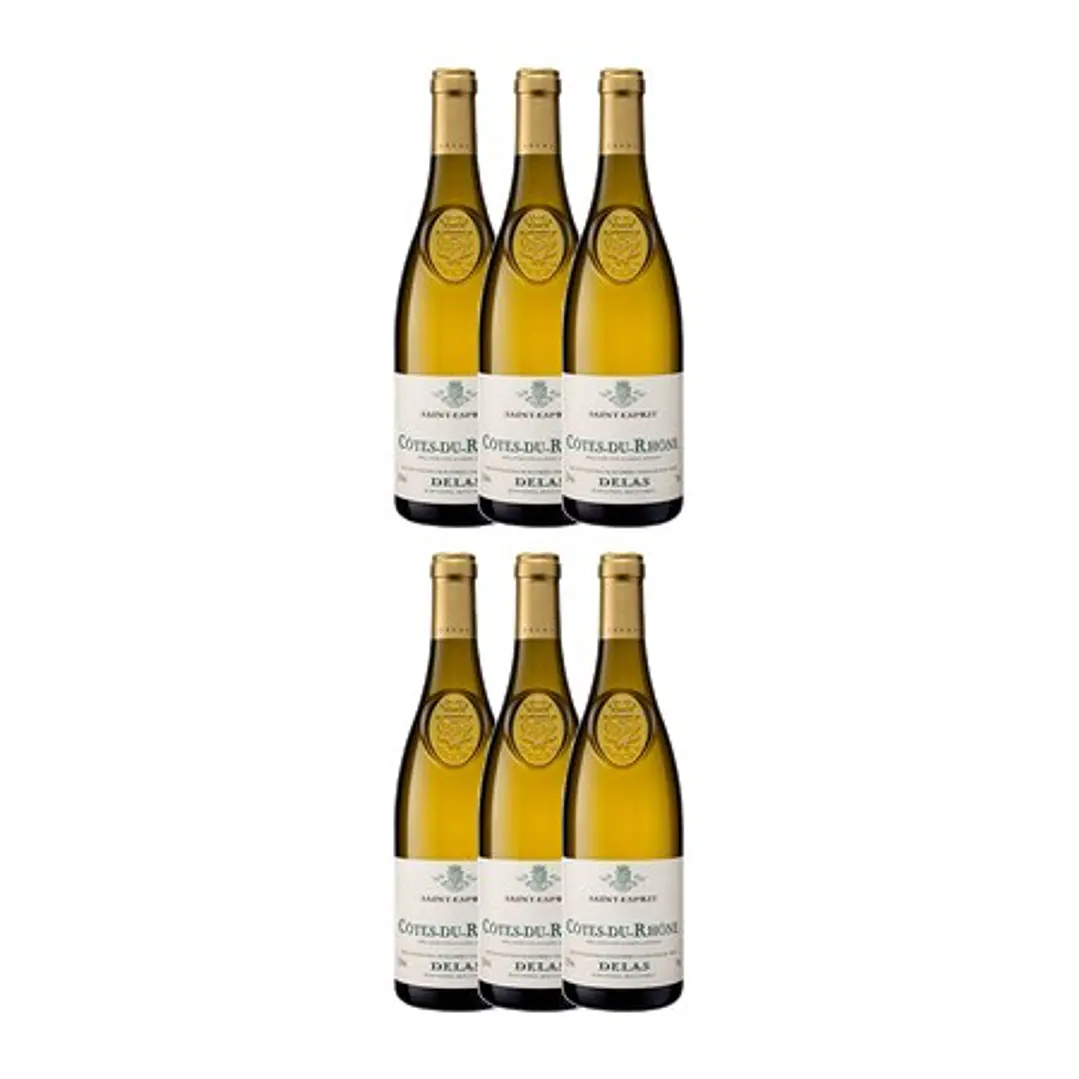 Delas Frères SAINT-ESPRIT White Côtes-du-Rhône 2023 4