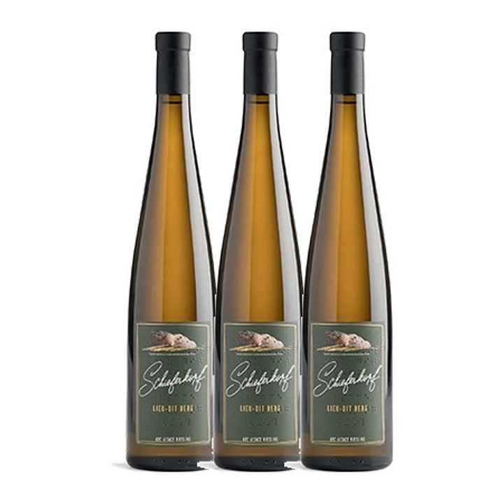 Alsace Riesling Bio Schieferkopf Lieu-dit Berg 2017 3