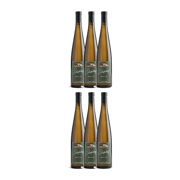 Alsace Riesling Bio Schieferkopf Lieu-dit Fels 2017 4