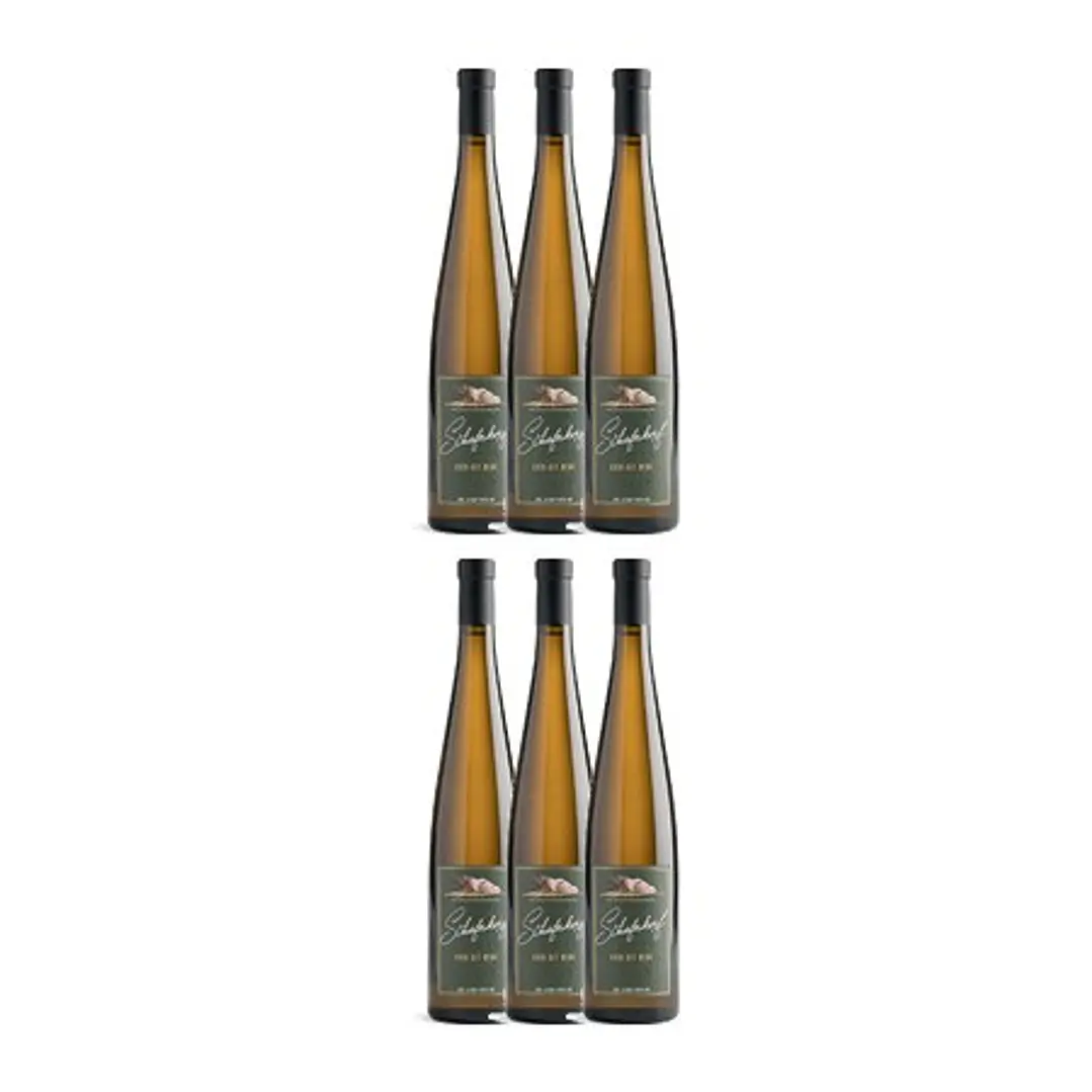 Alsace Riesling Bio Schieferkopf Lieu-dit Berg 2017 4