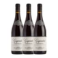 Michel Chapoutier Gigondas Rouge 2016 - vignette 2