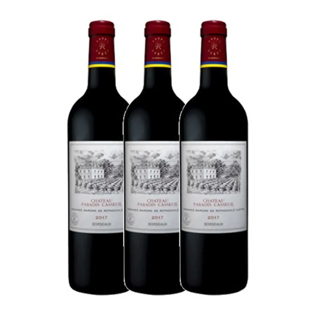 Château Paradis Casseuil Tinto Bordeaux 2018 2