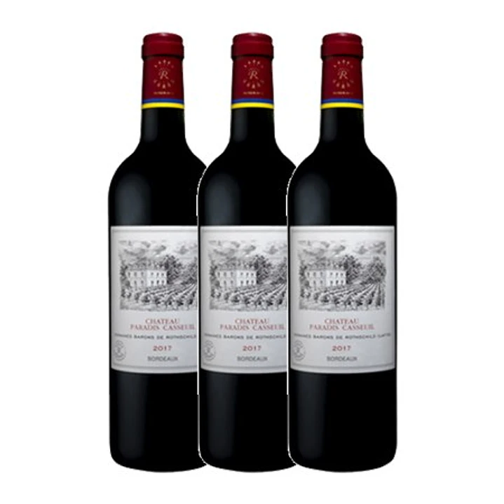 Château Paradis Casseuil Tinto Bordeaux 2018 2