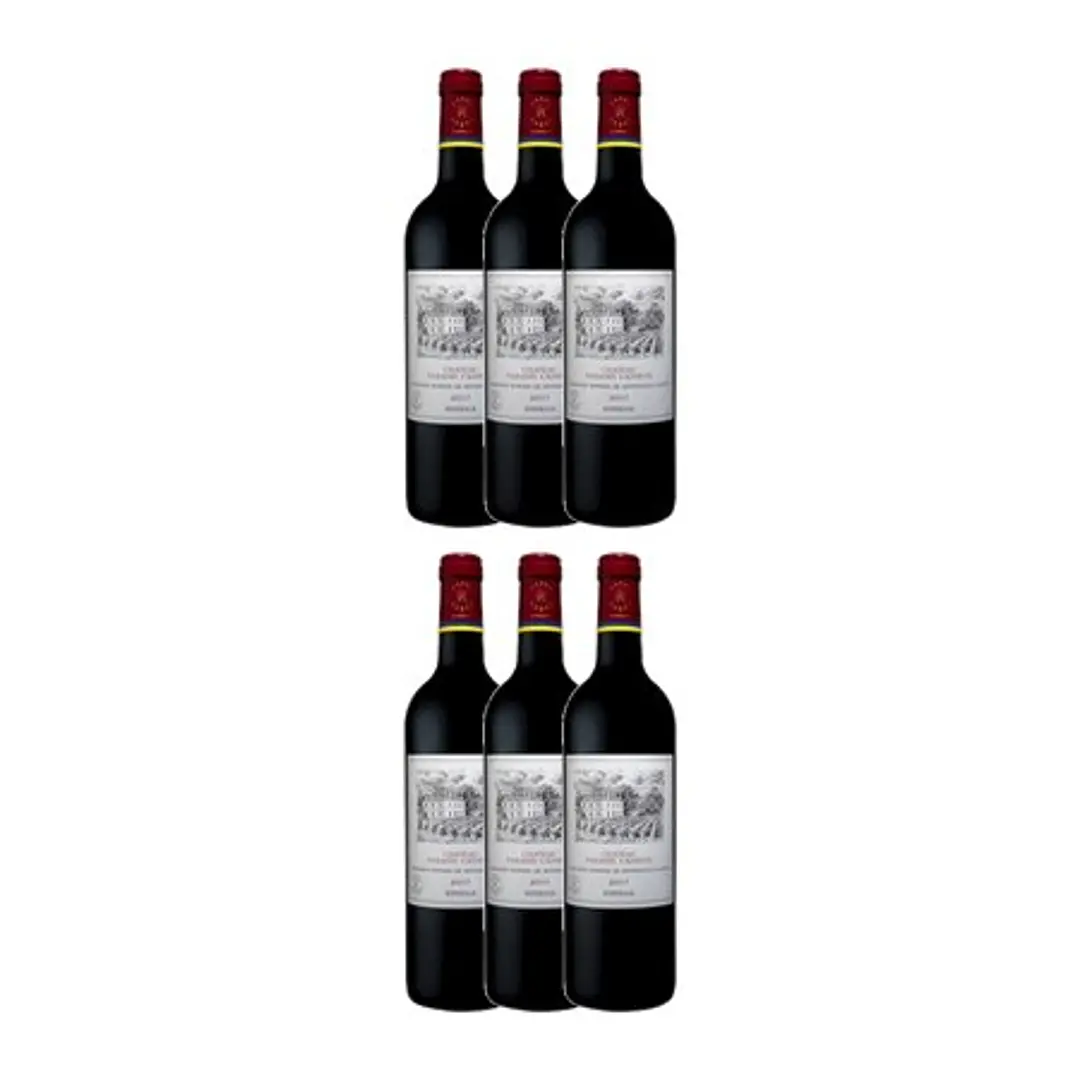 Château Paradis Casseuil Tinto Bordeaux 2018 3