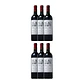 Château Andriet Bordeaux Rouge 2019 - vignette 3
