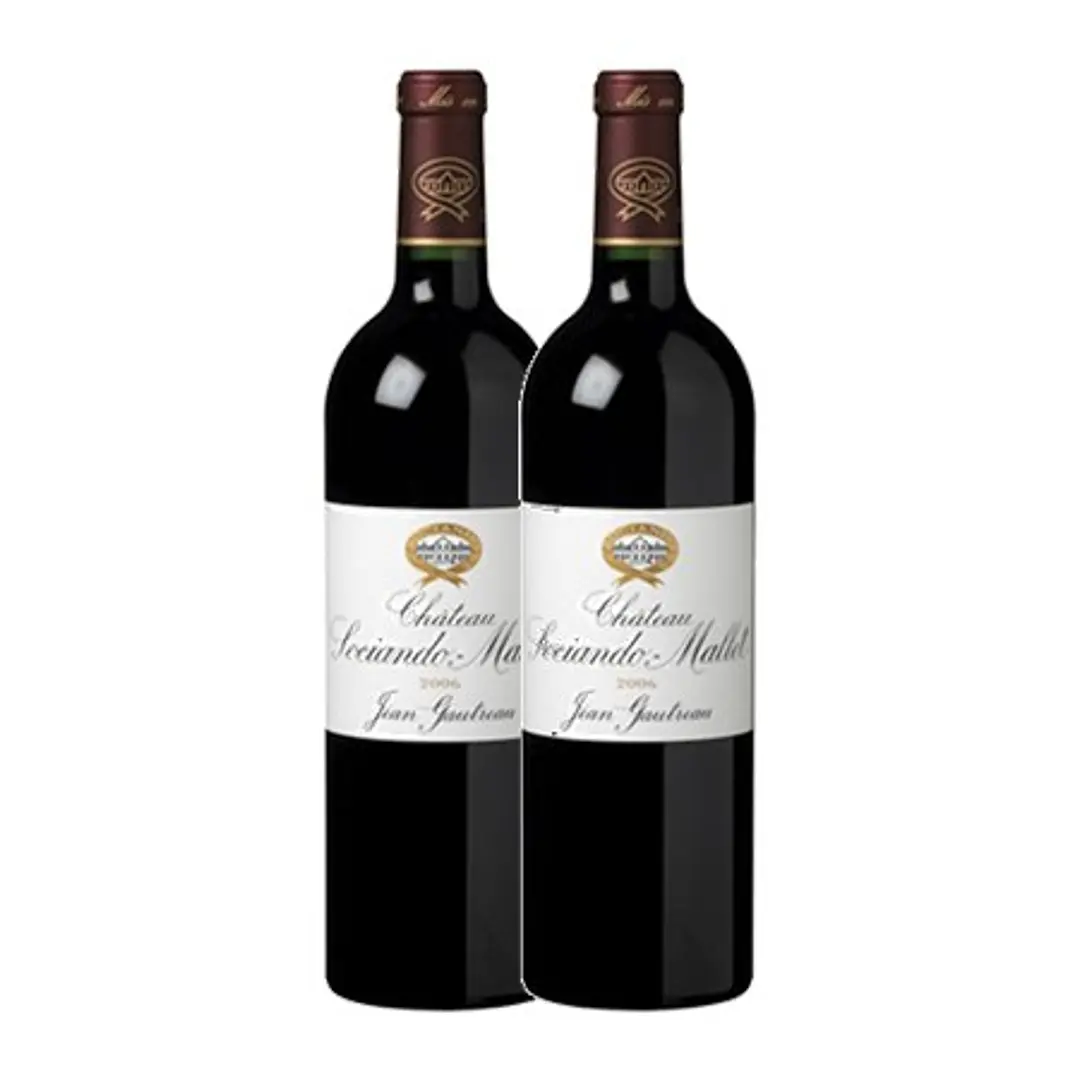 Château Sociendo Mallet Grand Cru Haut Médoc 2005 2