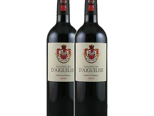 SEIGNEURS D´AIGUILHE Red Côtes de Castillon 2010