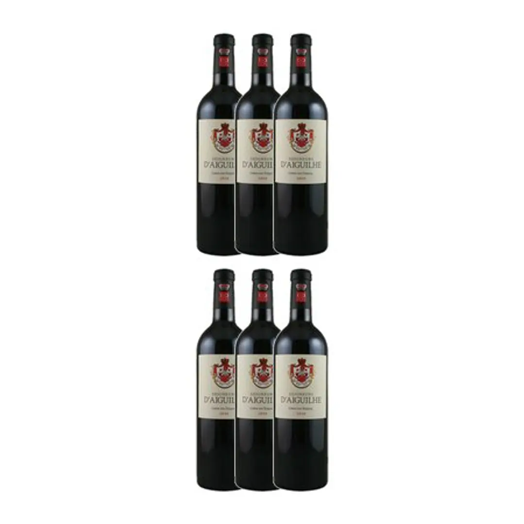 SEIGNEURS D´AIGUILHE Tinto Côtes de Castillon 2010 2
