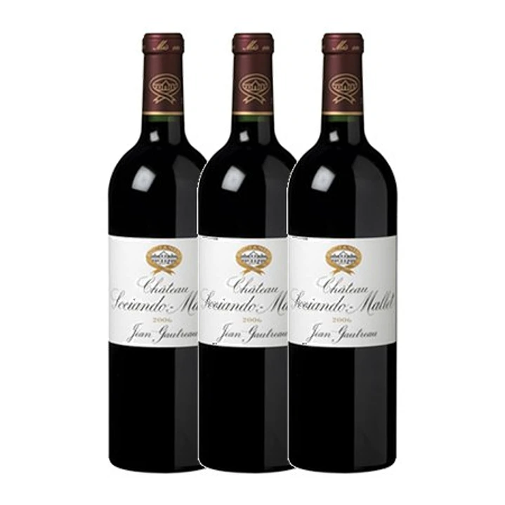 Château Sociendo Mallet Grand Cru Haut Médoc 2005 3