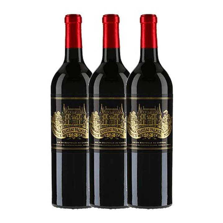 CHÂTEAU PALMER 2005 - 3ème Grand Cru Classé Margaux 3