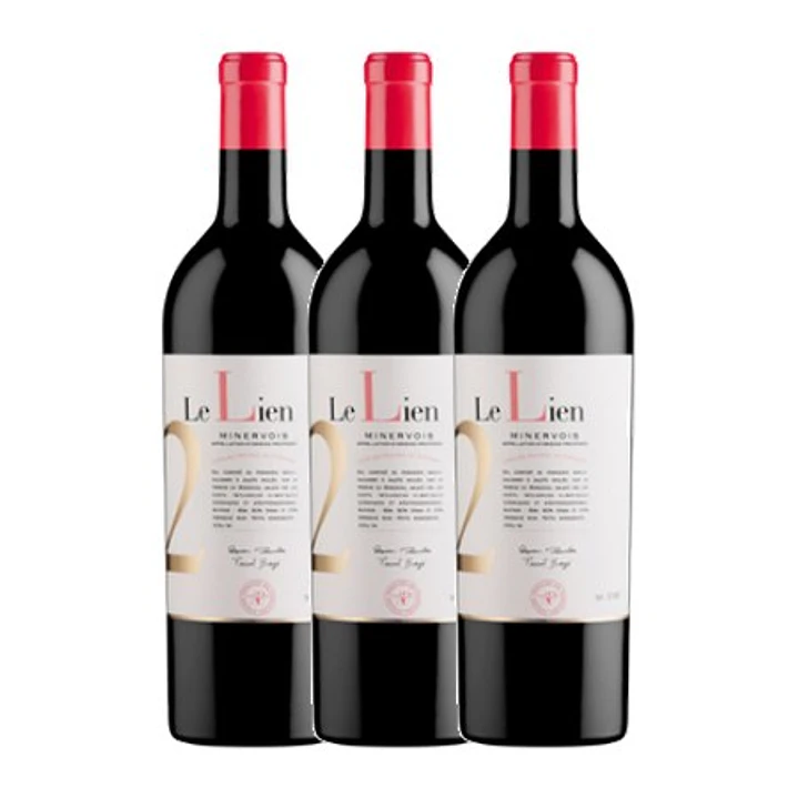Le Lien 2014 - Les Vignobles Foncalieu - Tinto 3