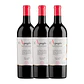 L´Apogée 2014 - Les Vignobles Foncalieu - Rouge - vignette 3