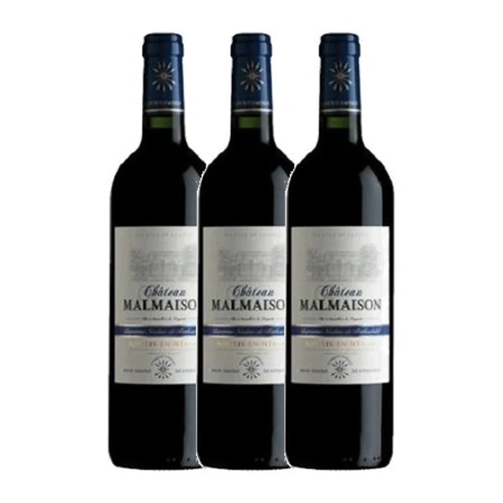 Château Malmaison - Baronne Nadine de Rothschild - Tinto Moulis 2013 2