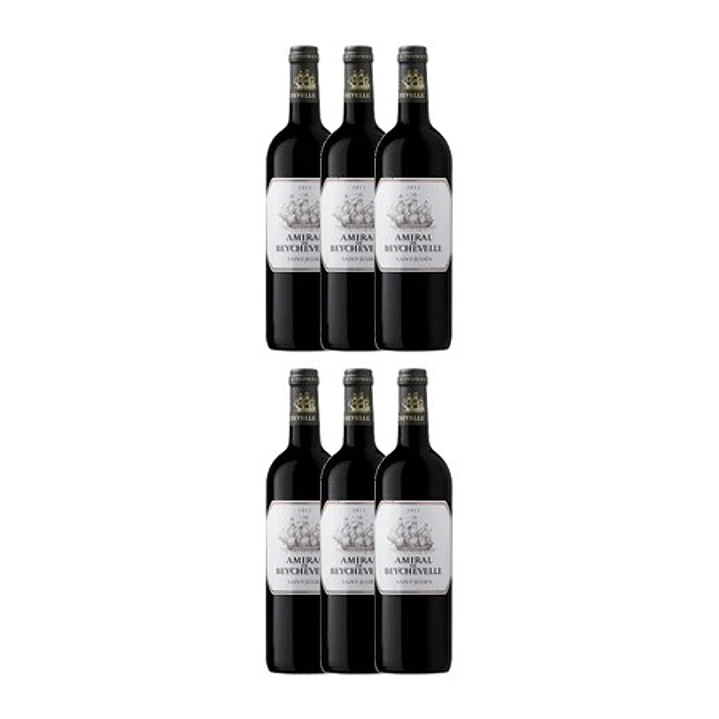 AMIRAL DE BEYCHEVELLE 2011 3