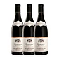Michel Chapoutier QUATUOR Tinto (BIO) Côte-Rotie 2016 - Miniatura 2
