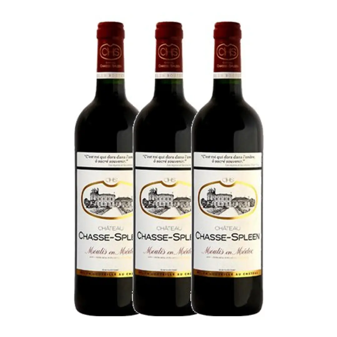 Château Chasse-Spleen Red Moulis 2017 3