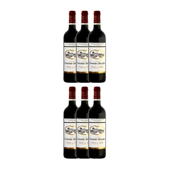 Château Chasse-Spleen Red Moulis 2017 4