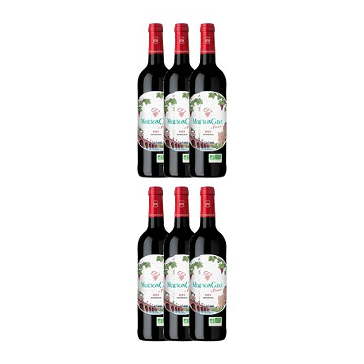  Mouton Cadet x Pierre - FRESH COLLECTION - Red 2023 4