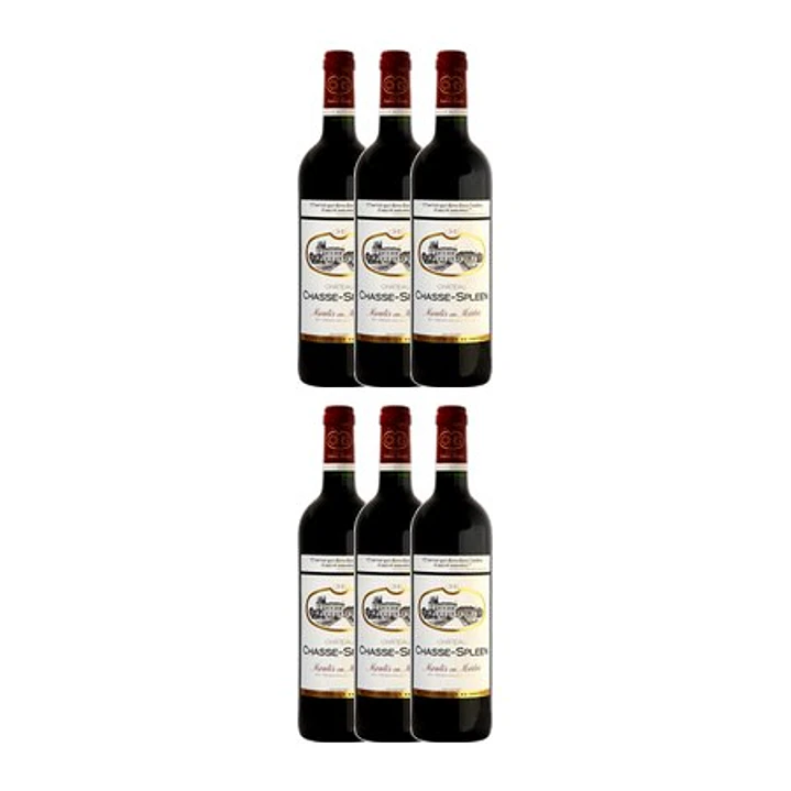 Château Chasse-Spleen Tinto Moulis 2021 4