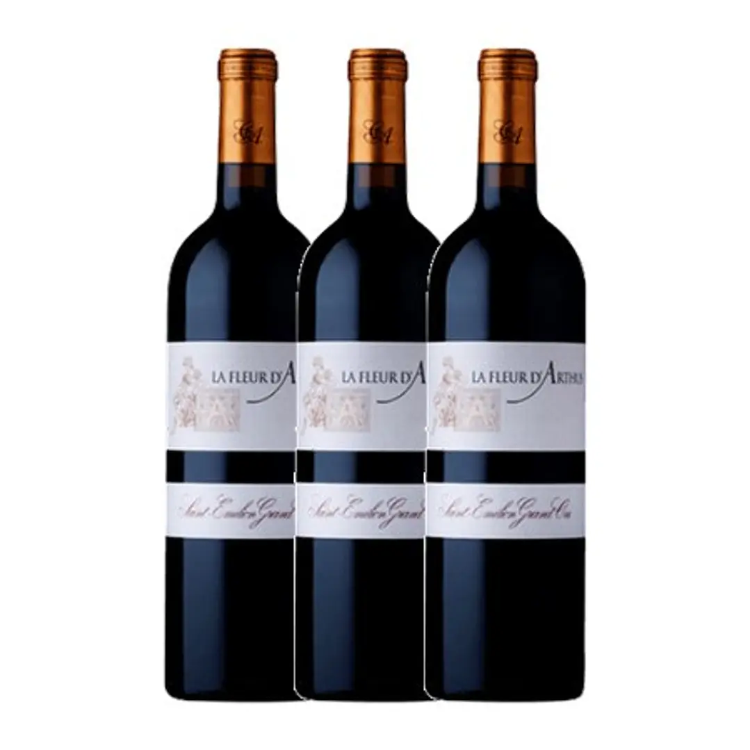 La Fleur d' Arthus Saint-Émilion Grand Cru 2022 75cl 2