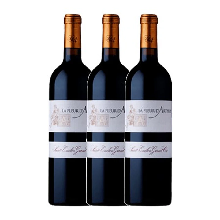 La Fleur d' Arthus Saint-Émilion Grand Cru 2022 75cl 2