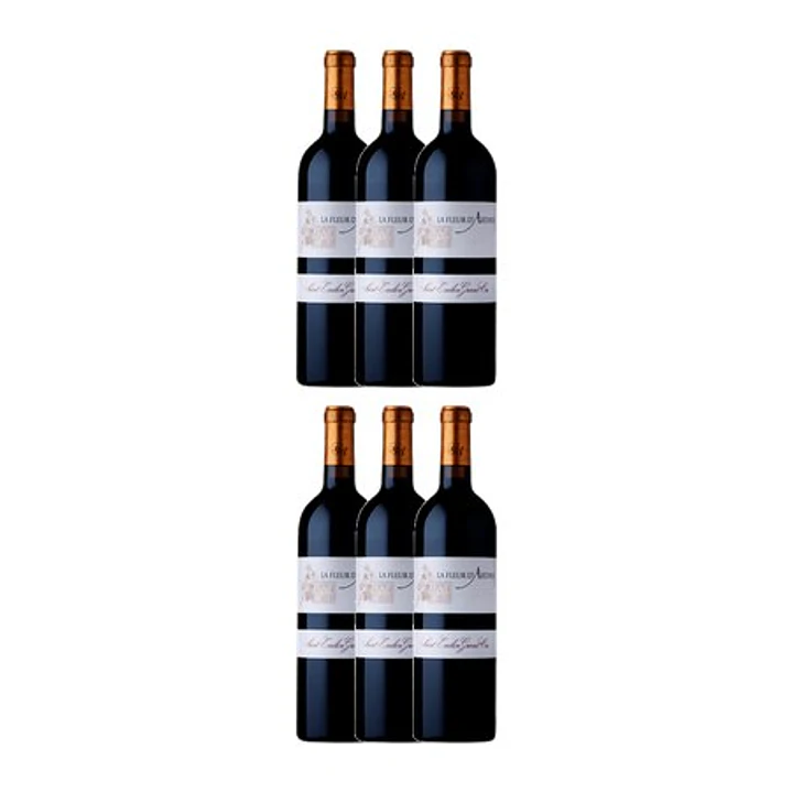 La Fleur d' Arthus Saint-Émilion Grand Cru 2022 75cl 3
