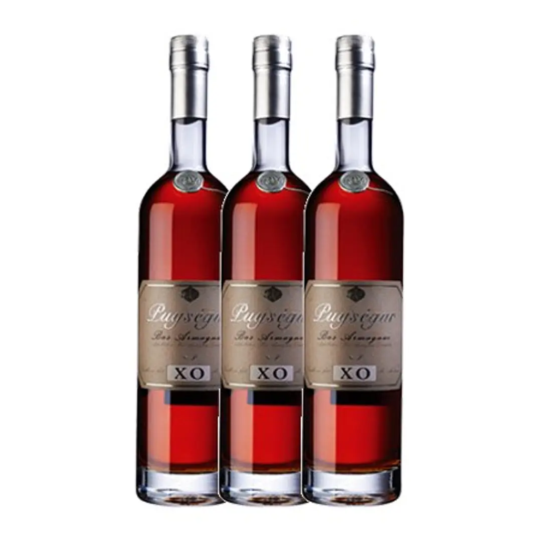 ARMAGNAC PUYSEGUR XO Bas Armagnac vol. 40% - 70cl 3